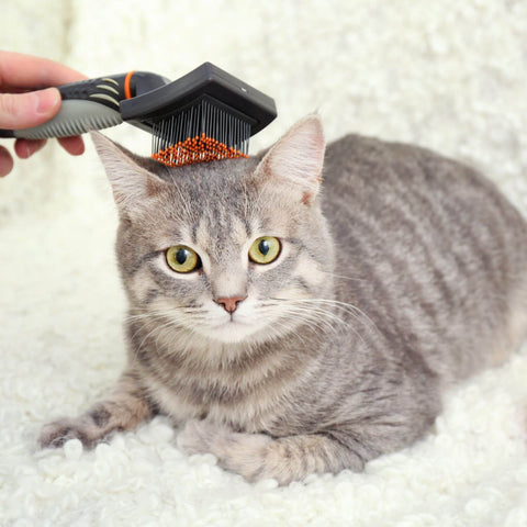 Take your pet's furr/hair sample at home